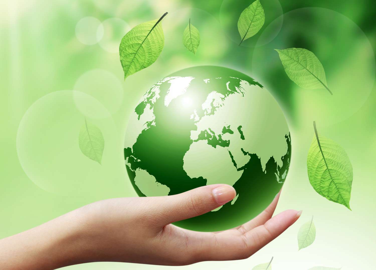 Environment & Sustainability