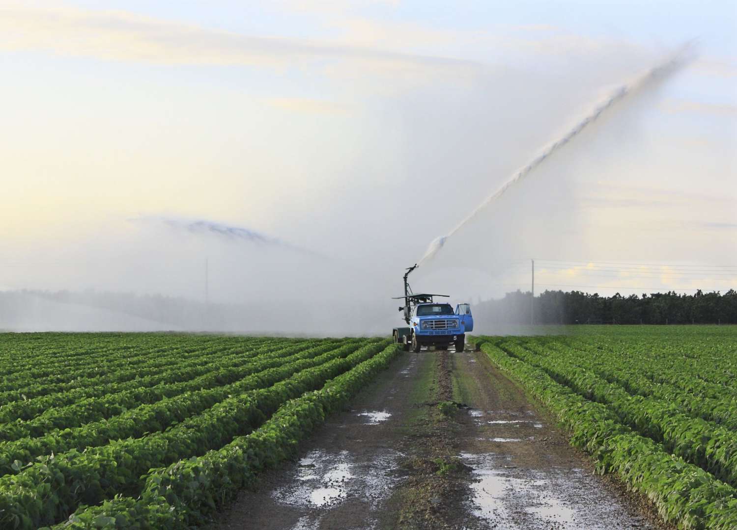 Agriculture & Farming